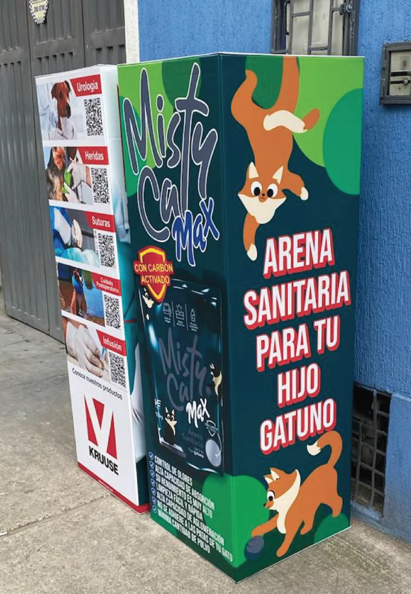 aviso misty cat